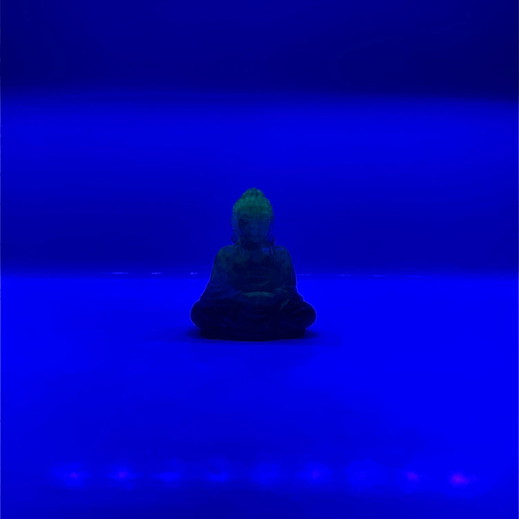 Mini Buddhas Mini Buddha Midnight Studio
