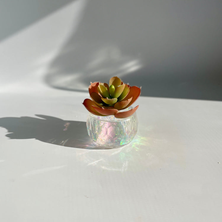 Mini Trinket Bowls bowl Midnight Studio