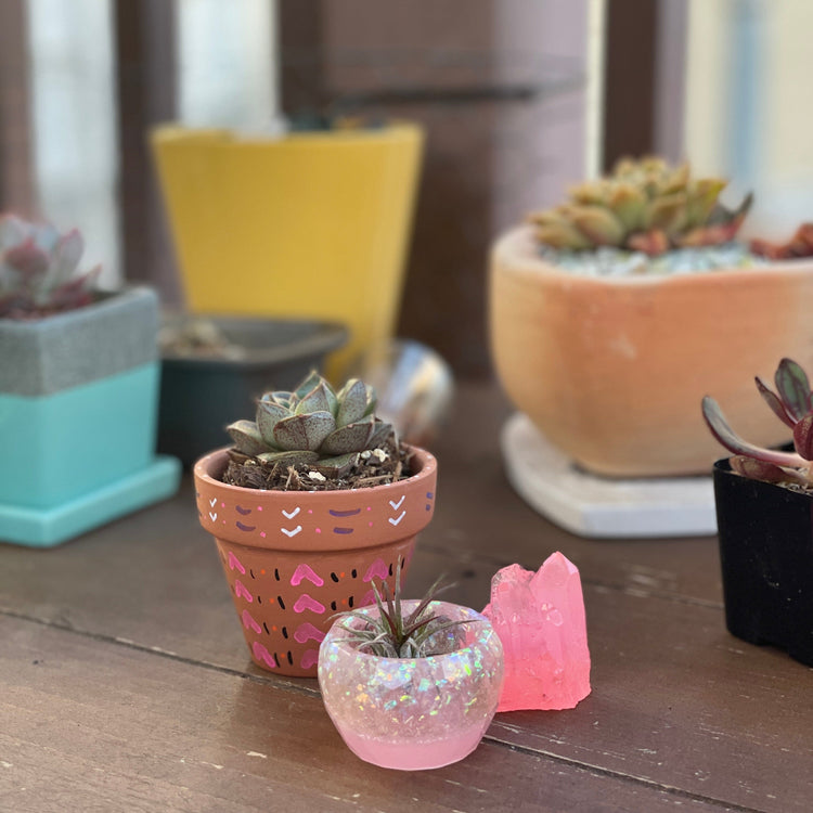 Mini Trinket Bowls bowl Midnight Studio