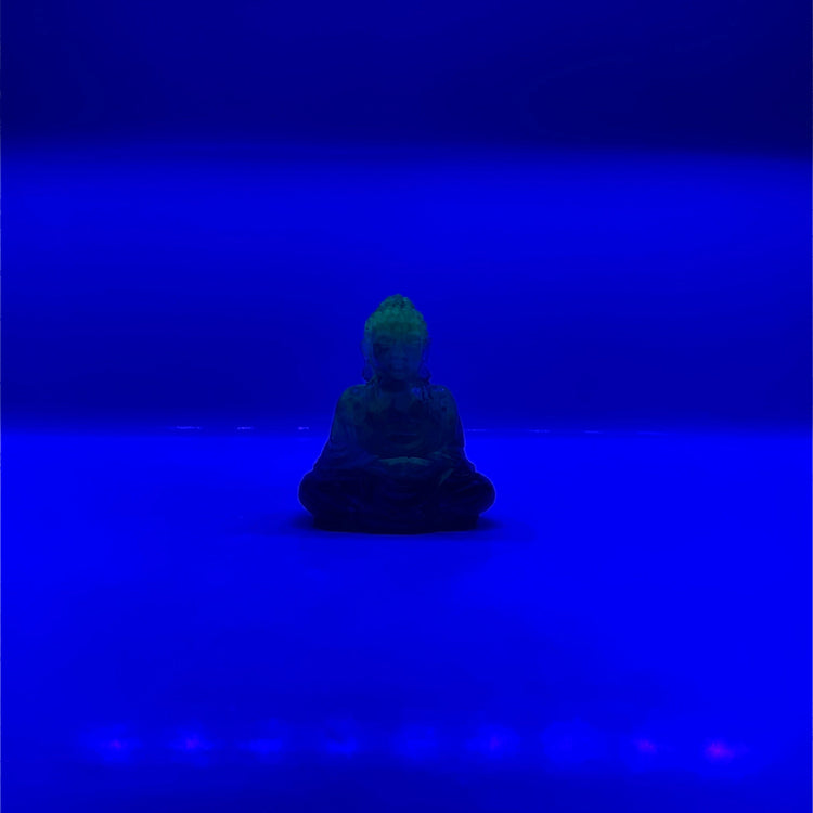Mini Buddhas Mini Buddha Midnight Studio 